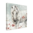 thumbnail image 2 of Trademark Fine Art 'Wild Horses V' Canvas Art by Lisa Audit, 2 of 3