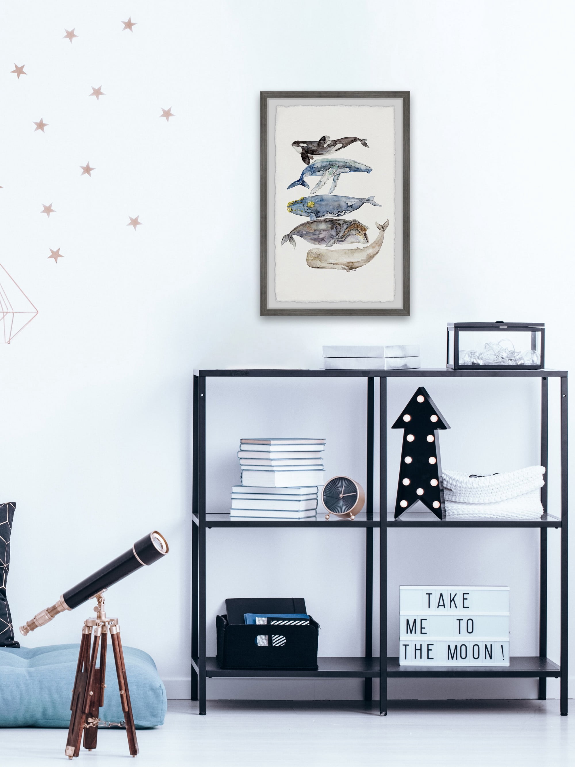 Marmont Hill Whale Species By Rachel Byler Framed Wall Art, 16" x 1.5"