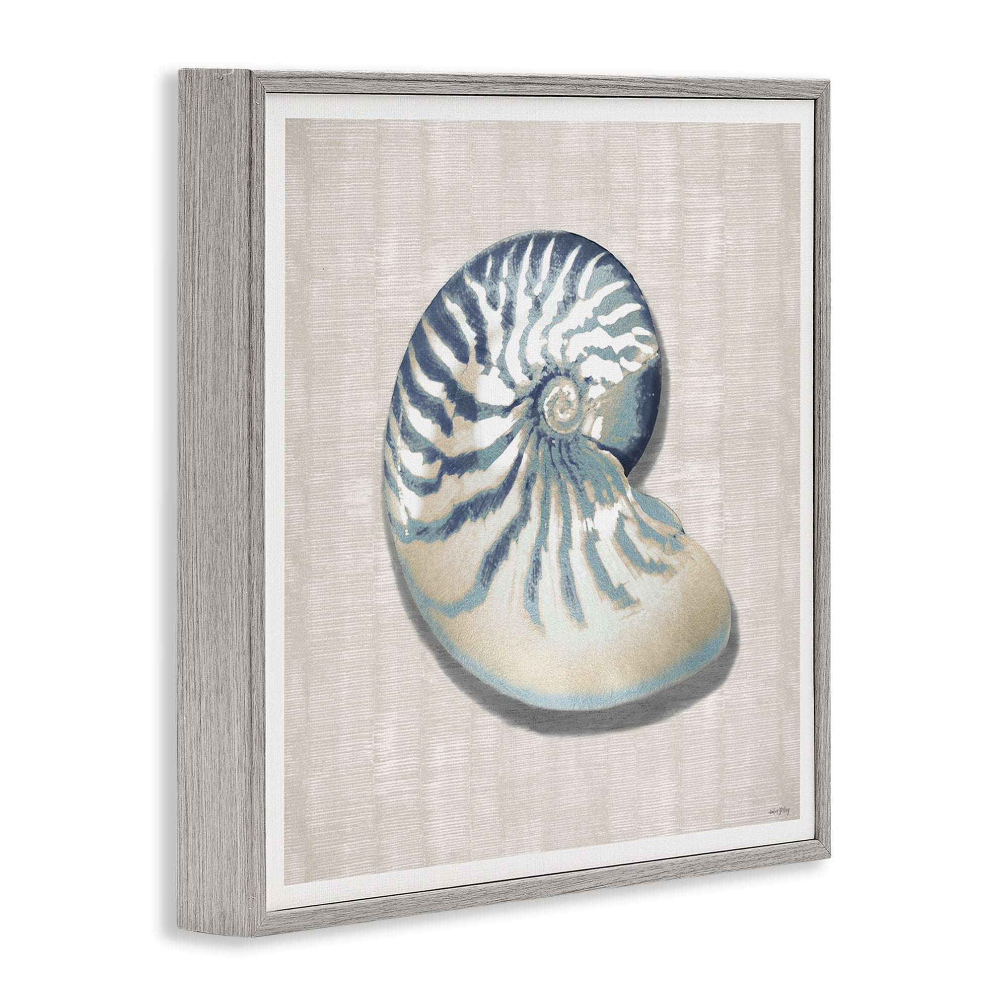 Stupell Industries Nautilus Shell in Misty Blue Gray Framed Giclee Art, design by Amber Sterling