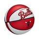 thumbnail image 2 of Balón NBA Mini Retro Bulls multicolor Estandar, 2 of 6