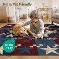 thumbnail image 4 of ODIKA Farmhouse Checkered Motif Vintage Border Primitive Grid Distressed Playful for Living Room, Under Sectional, Family , Non-Slip Flatwoven, 4 of 7