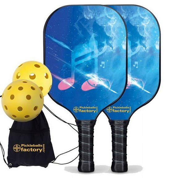 Pickleball Factory PB00051-4-G Pickleball Set - Musical Note Pickleball Paddles for Sale, Best Portable Pickleball Set, Glassfiber Graphite