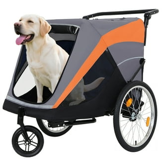 Allen Sports Deluxe 2-Child Bicycle Trailer & Stroller, AS2