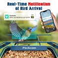 thumbnail image 3 of Comedero inteligente para pájaros PeckCam Metal con panel solar 2K HD, 3 of 9
