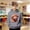 Gray, variant on Girl Hoodies Boys Highland Cow Sweatshirt Hoodie Cute Casual Fall Winter Sweatshirts Cowgirl Long Sleeve Pullover Tops(Yellow,11-12 Years)