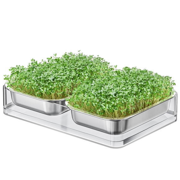 FANHAO Upgraded Visual Seed Sprouter Tray, Stainless Steel Soil-Free Cultivation Germination Tray with Acrylic Base, Healthy Microgreens Gr