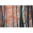 thumbnail image 2 of PhotoINC Studio 24x17 White Modern Wood Framed Museum Art Print Titled - Autumn Woods, 2 of 4