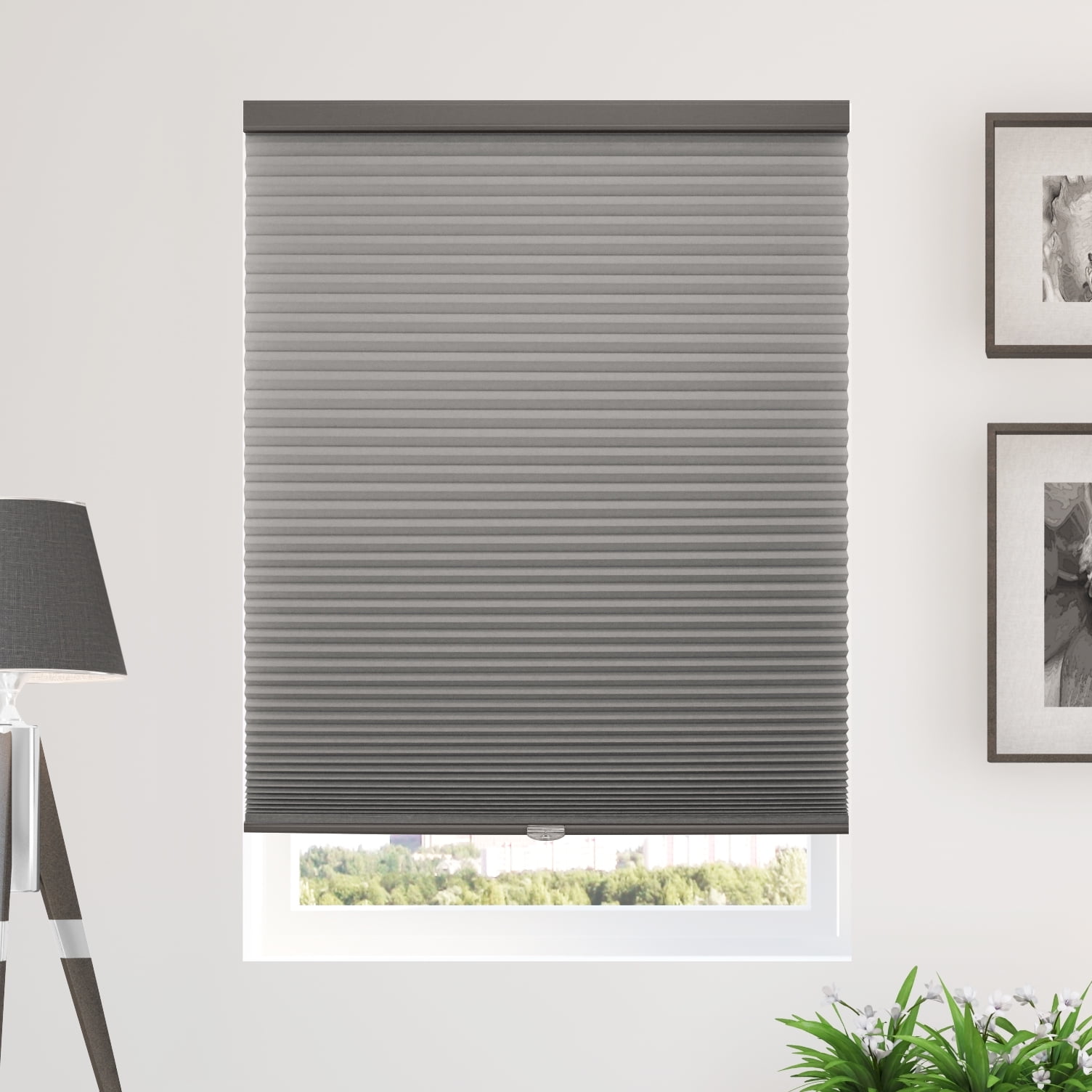 Chicology Cordless Cellular Shades, Privacy Single Cell Window Blind