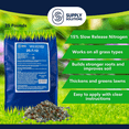 thumbnail image 4 of Supply Solutions 25-7-12 Lawn and Turf Fertilizer 15% Slow Release Nitrogen - Supply Nutrients for Lawn Grass and Garden Plants for Greener Look (25lbs), 4 of 8