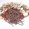 thumbnail image 2 of 100 Packs Of 8cm0.4g Red Worm Earthworm Fake Baits, Fish Smell Soft Baits, Maggots Banmo, 2 of 5