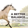 thumbnail image 4 of Suplemento de sal mineral y electrolitos para caballos, 11,34 kg, 4 of 7