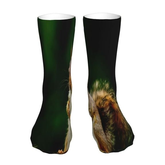 Kdxio Squirrels Eating Peanuts On The Tree 标题