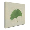 thumbnail image 2 of Trademark Fine Art 'Forest Leaves IV no Lines' Canvas Art by Kathrine Lovell, 2 of 3