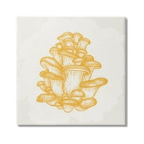 Stupell Industries Intricate Mushroom Forest Botanicals Graphic Art Gallery Wrapped Canvas Print Wall Art, Design by Kim Allen