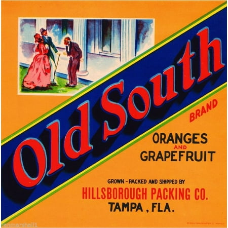 tampa florida old south