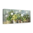 thumbnail image 4 of Trademark Fine Art 'White Geraniums v2' Canvas Art by Danhui Nai, 4 of 4