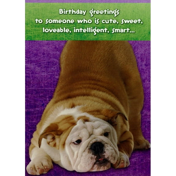 Designer Greetings Cute, Sweet, Loveable, Intelligent, Smart Bulldog Funny : Humorous Dog Birthday Card