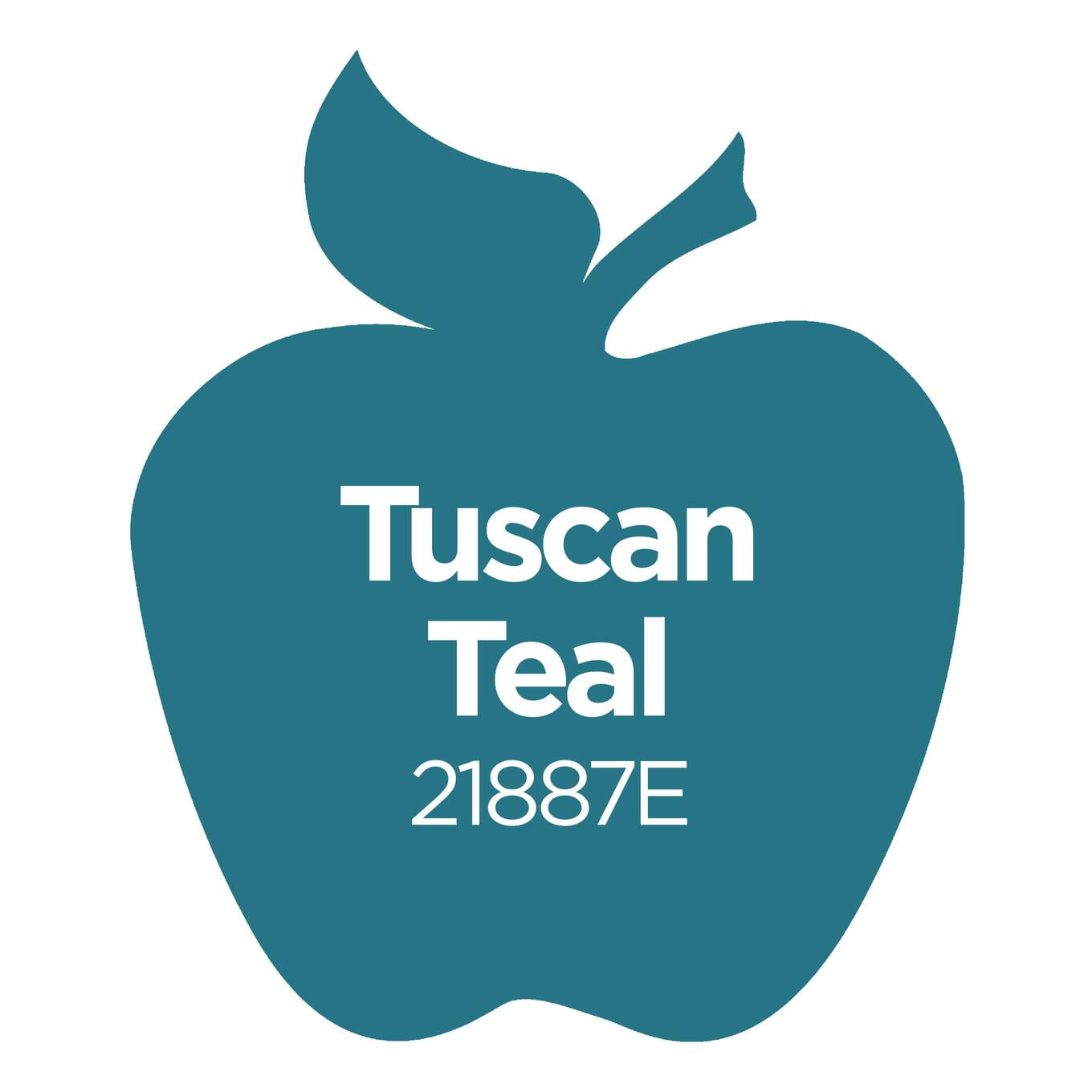 (2 pack) Apple Barrel Acrylic Craft Paint, Matte Finish, Tuscan Teal, 2 fl oz