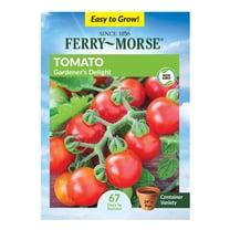 Ferry-Morse 175MG Tomato Gardeners Delight Annual Vegetable Seeds, Full Sun