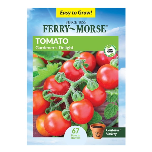 Ferry-Morse 175MG Tomato Gardeners Delight Annual Vegetable Seeds, Full Sun