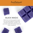 thumbnail image 4 of ScentSationals Halloween Scented Wax Melts, Black Magic, 2.5 oz, 4 of 8