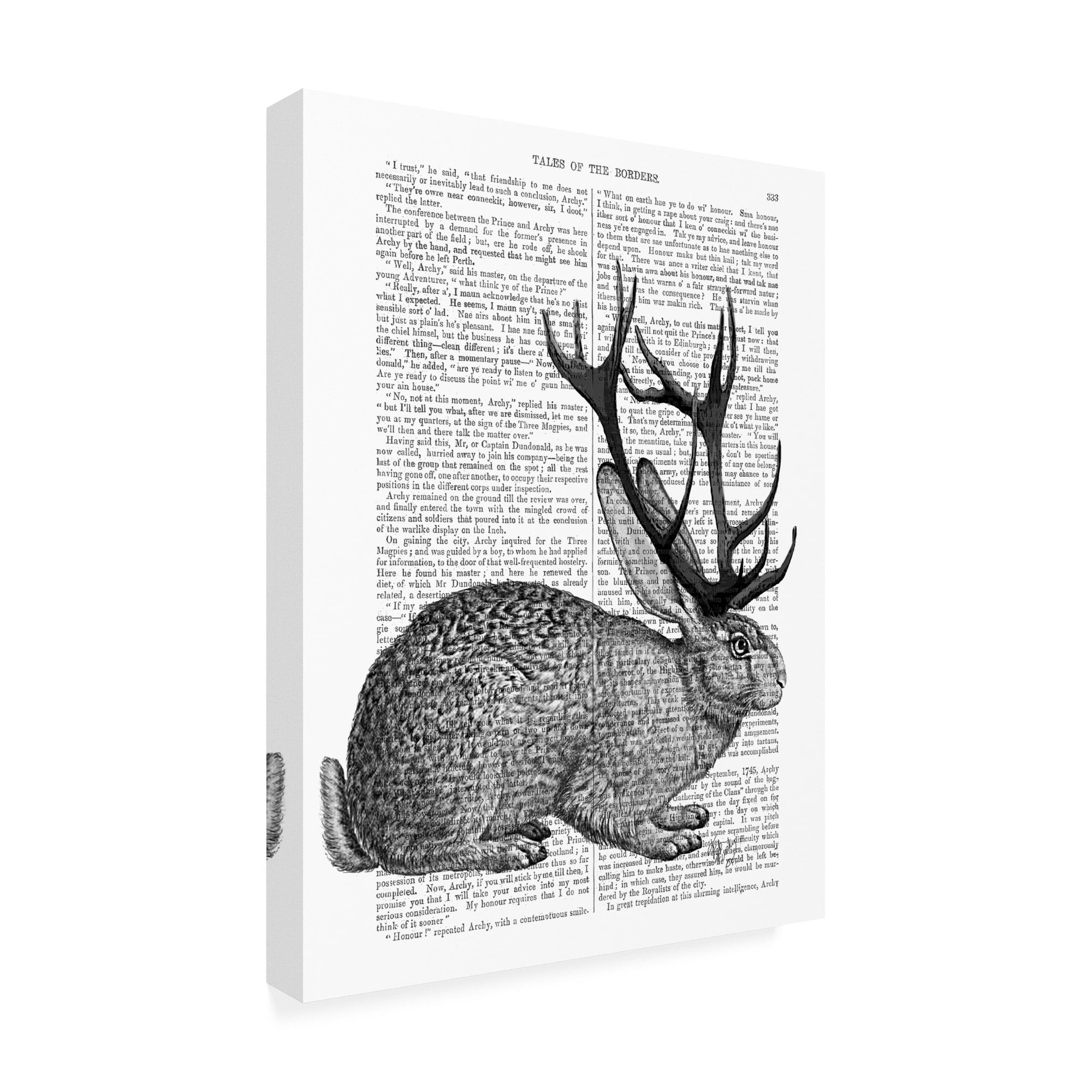 Trademark Fine Art 'Jackalope Portrait 1' Canvas Art by Fab Funky