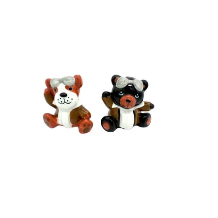 Aviator Bear - Dog & Bear Aviator Salt and Pepper Shakers