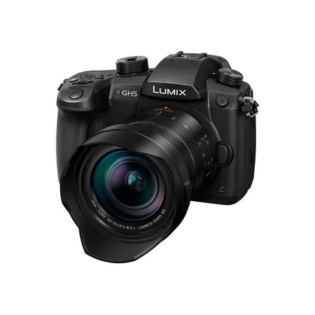 Panasonic - LUMIX GH5 Mirrorless 4K Photo Digital Camera Body with LEICA DG 12-60mm F2.8-4.0 Lens - DC-GH5LK - Black