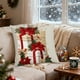 thumbnail image 5 of Herunwer Christmas Snowman Reindeer Gloves Eucalyptus Throw Pillow Covers, Winter Holiday Stripes Cushion Case Decoration for Sofa Couch, 5 of 6