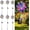 6pcs, variant on Magical Holographic Rainbow Solar Pinwheel Lights, Color Changing LED Windmill Garden Stakes, Waterproof Outdoor Kinetic Yard Decor for Patio, Lawn, Pathway, Party (2pcs)