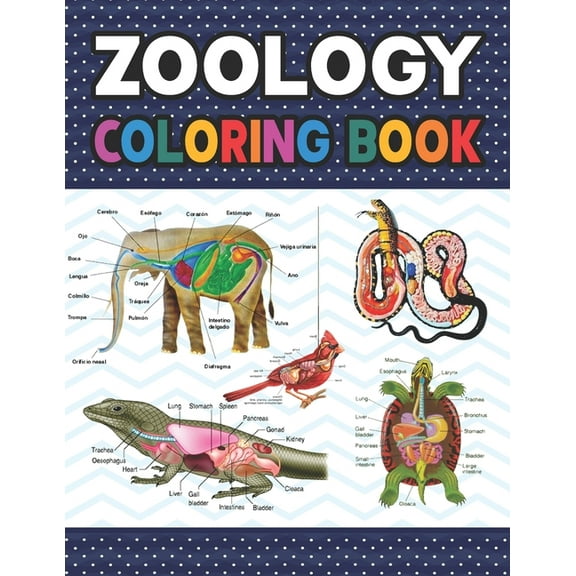 Zoology Coloring Book: Zoology Self Test Guide for Anatomy Students. Animal Art & Anatomy Workbook (Paperback) by Darjeylone Publication