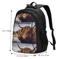 View all media