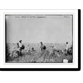 thumbnail image 2 of Historic Framed Print, Indians farming on Fort Peck Res., 17-7/8" x 21-7/8", 2 of 9