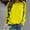 Yellow, variant on CLOISE Women Sweatshirts Solid Color Oversized Sweatshirts Crew Neck Long Sleeve Hoodies Shirts Blue Raglan Basic Blouses Fall Casual Preppy Clothes XL
