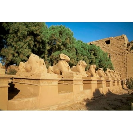 Luxor 20 Piece - Sphinxes Temple of Karnak Temple of Luxor Avenue of Sphinxes Luxor Egypt Canvas Art - Miva Stock DanitaDelimont (30 x 20)