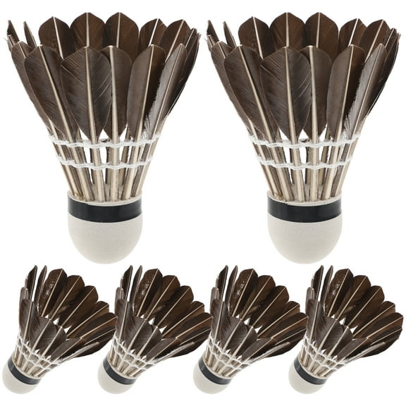 6 Pcs Light up Shuttlecocks for Badminton Professional Racket Training
