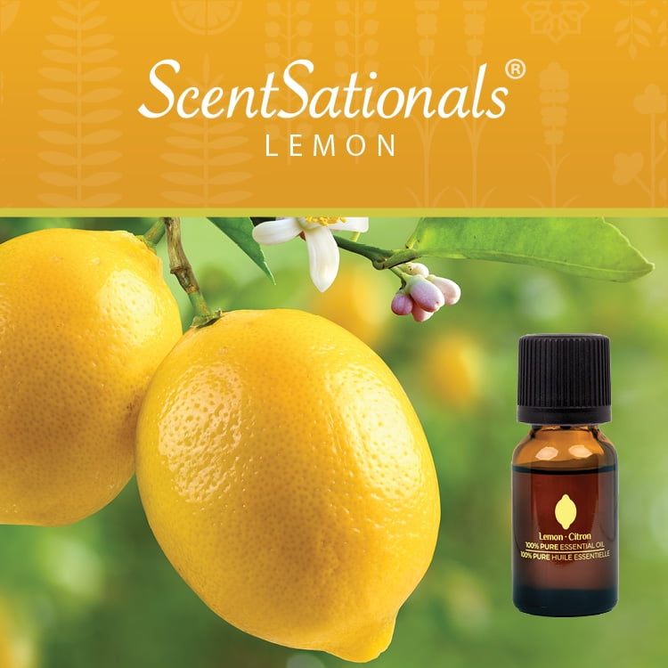 ScentSationals 100% Essential Oil, Lemon, 15 mL (0.5 fl oz)