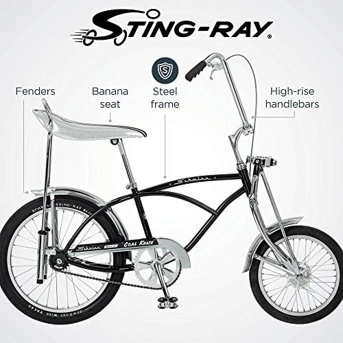 Schwinn Lightweight Aluminum Classic Karate Bike, 20 In Schwinn Lightweight Aluminum Classic Karate Bike, 20 In