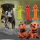 thumbnail image 5 of Paquete de juguetes para perros Sunnimix masticable de goma 19x10.5cm, 5 of 8