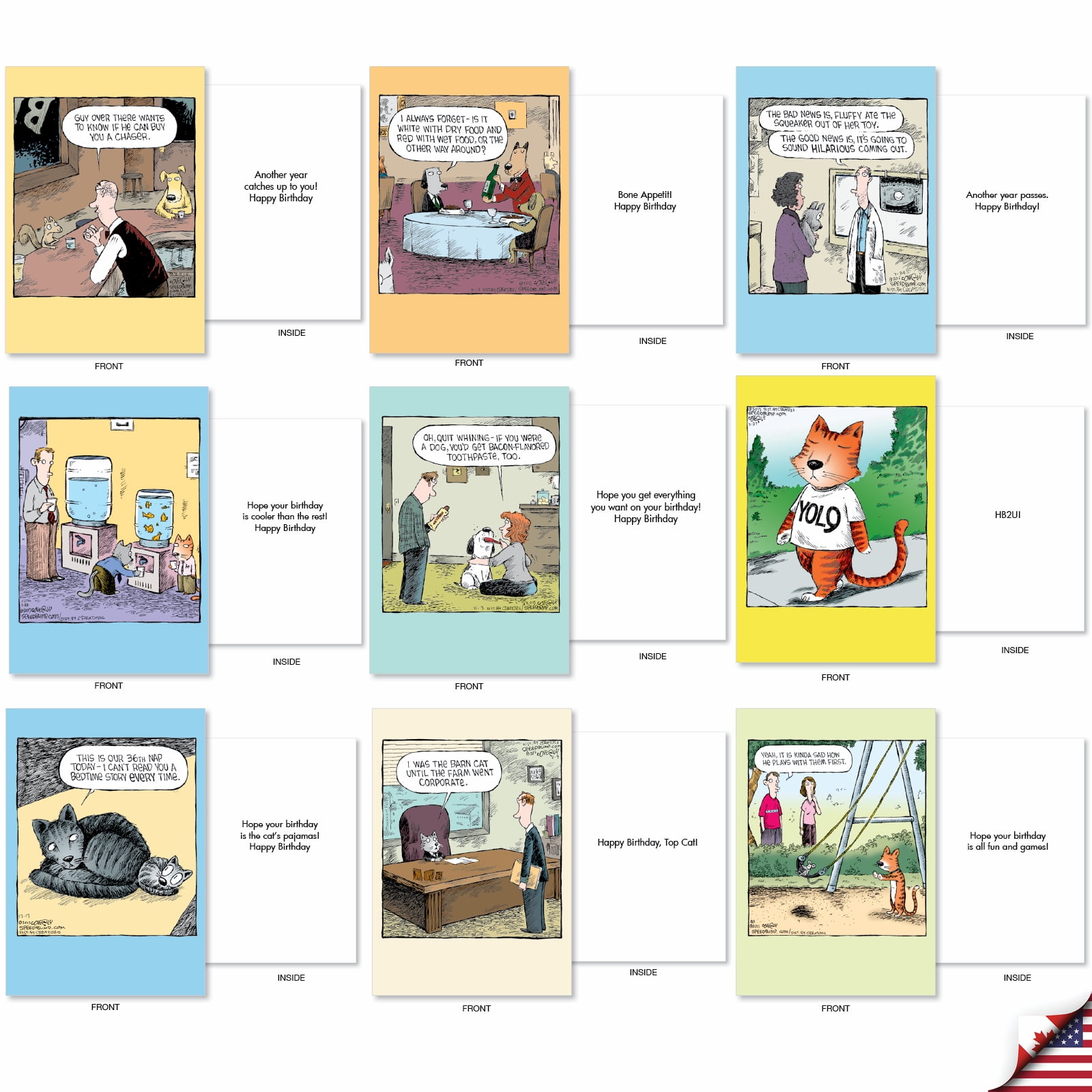 NobleWorks Dave Coverly's Cake Time - Pack of 36 Birthday Greeting Cards with Envelopes (4.63 x 6.75 Inch) - AC9375BDG-B1x36