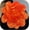 Orange, variant on 20cm Oversized Satin Rose & Camellia Brooch, Large Fabric Flower Lapel Pin for Coats, Blazers, Bags – Statement Accessory for Adults