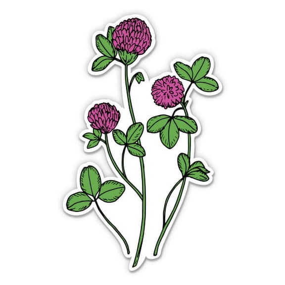 Clover Flowers Pretty Wildflowers - 3" Vinyl Sticker - For Car Laptop I-Pad Phone Helmet Hard Hat - Waterproof Decal