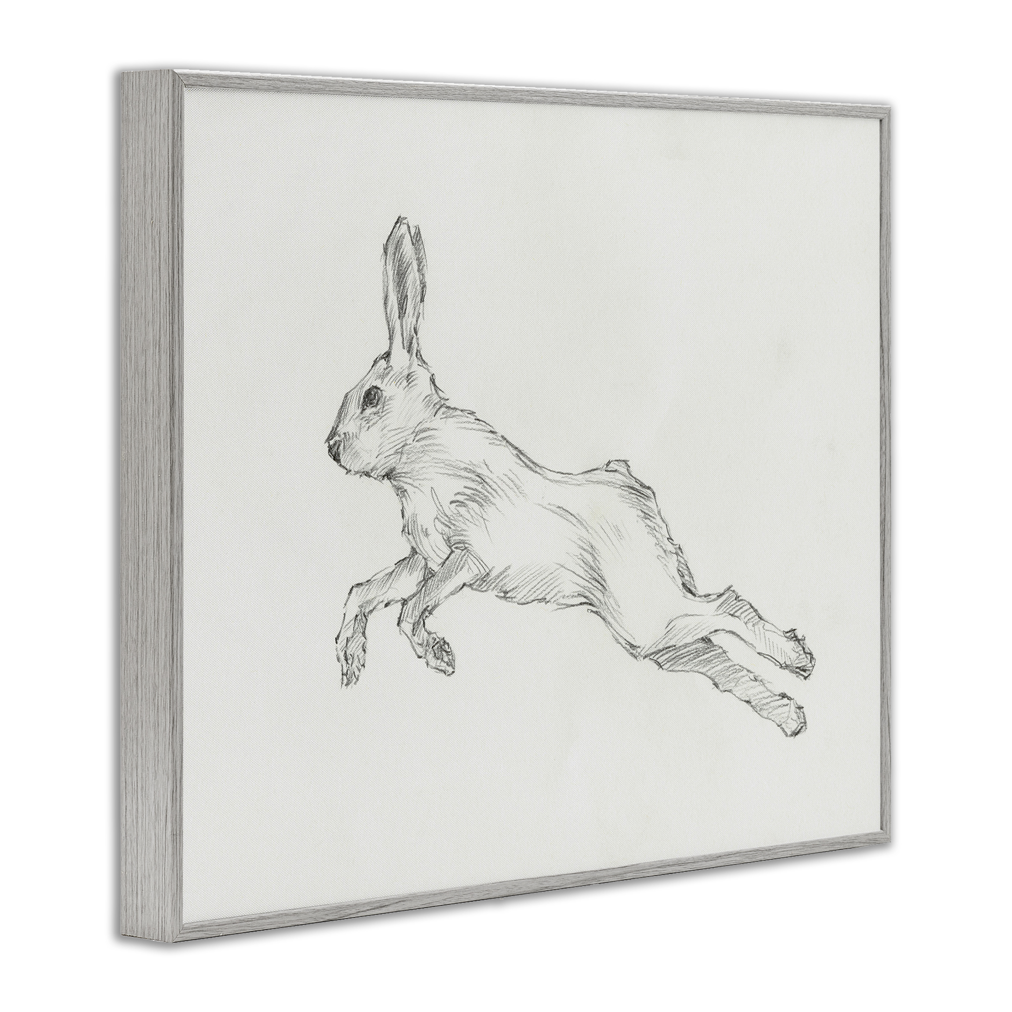 Stupell Industries Rabbit Hopping Sketch Animals & Insects Drawing Gray Framed Art Print Wall Art, 30 x 24
