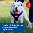 thumbnail image 2 of Arnés para perros Coastal ajustable, suave y reflectante, morado, 1,6 x 40,5 a 48 cm, 2 of 7