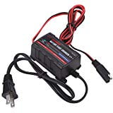 Qiilu 0.75A 6V 12V Automatic Battery Trickle Charger Maintainer for Car Motor ATV RV American