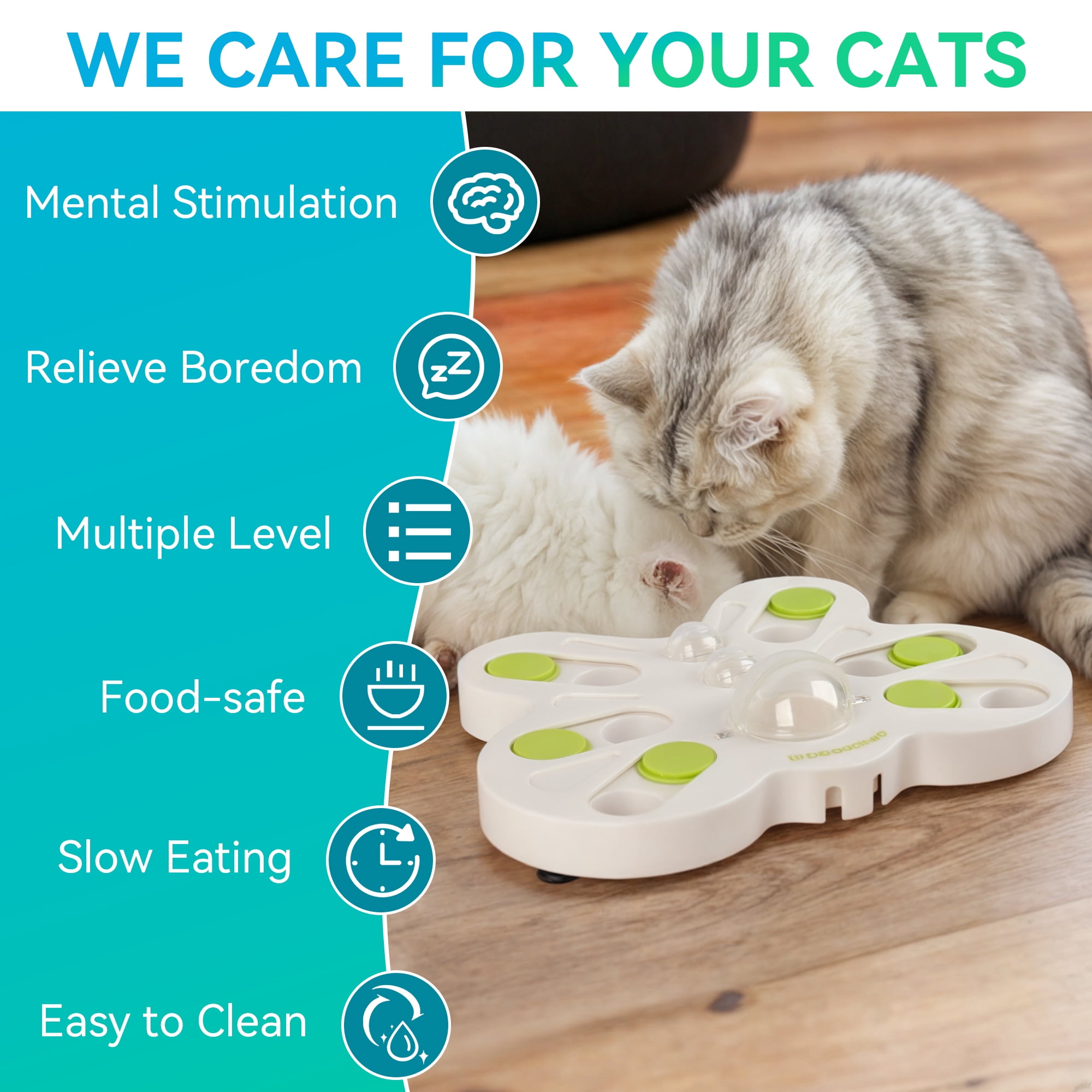 Mental Stimulation How To Keep Your Kitten Entertained Cat