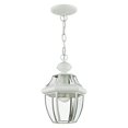 thumbnail image 5 of Livex Lighting Lumiere Suspendue Extérieure 1 Lumière 2152-02, 5 of 5