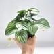 thumbnail image 2 of Injueey Plantas artificiales vibrantes para terrarios - Ilumina el espacio habitable Plantas de jardín Balcón artificial Hoja de raíz de Type3 NO3, 2 of 6