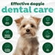 thumbnail image 4 of Kit de cuidado bucal TropicLean Fresh Breath Puppy con cepillo de dientes, 4 of 8