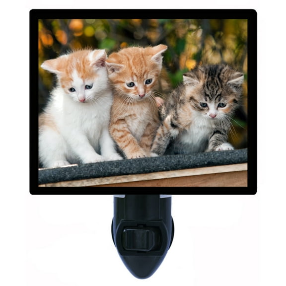 Night Light - The Next Generation. | Cat Theme, Includes Free Switchable Insert, 4W Bulb, E12 Base